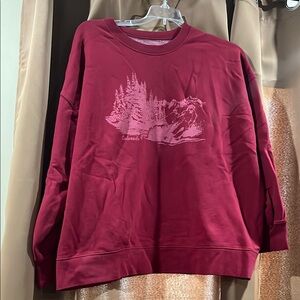 AE Colorado Red Graphic Sweatshirt